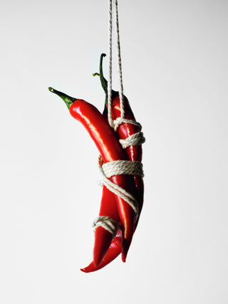 Spicy BDSM