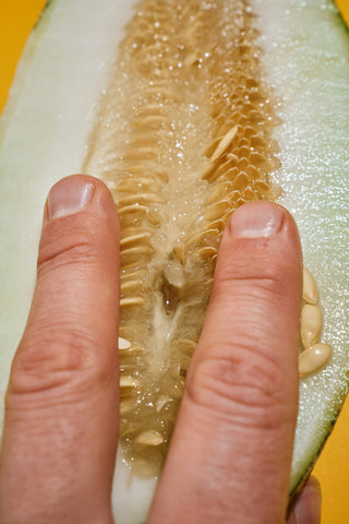 fruit presented as a vulva with yellow discharge