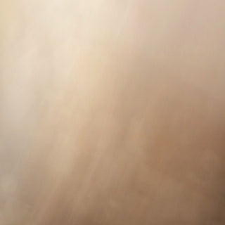 soft warm light on a plain wall