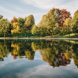 autumn trees reflected in a lake