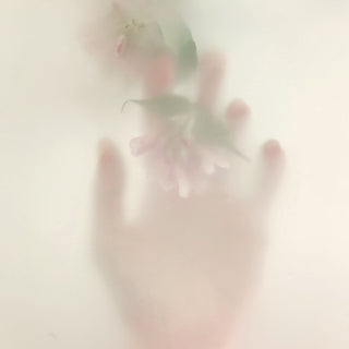A hand holding a flower behind frosted glass