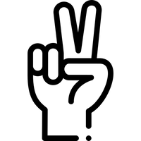 dual independent motors